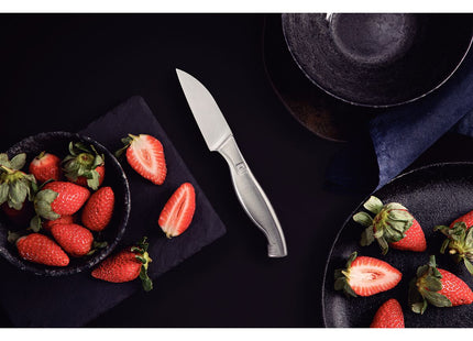 Cuchillo para Legumbres y Frutas Tramontina Sublime en Acero Inoxidable 3"