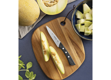 Cuchillo para Legumbres y Frutas Tramontina Solutta con Lámina en Acero Inoxidable y Mango en Policarbonato y fibra de vidrio 4"