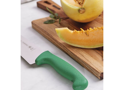 Cuchillo para Carne Tramontina Profissional Master con Lámina en Acero Inoxidable y Mango de Polipropileno Verde 8"