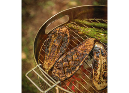 Grill a Carbón Tramontina TCP 400 de Acero Inoxidable con Bandeja para Carbón de Acero Esmaltado