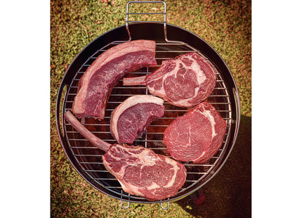 Grill a Carbón Tramontina TCP 400 de Acero Inoxidable con Bandeja para Carbón de Acero Esmaltado