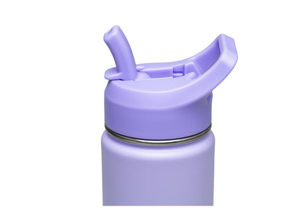 Termo Tramontina 650 ml en Acero Revestido Lila con Sorbete