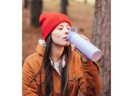 Termo Tramontina 650 ml en Acero Revestido Lila con Sorbete